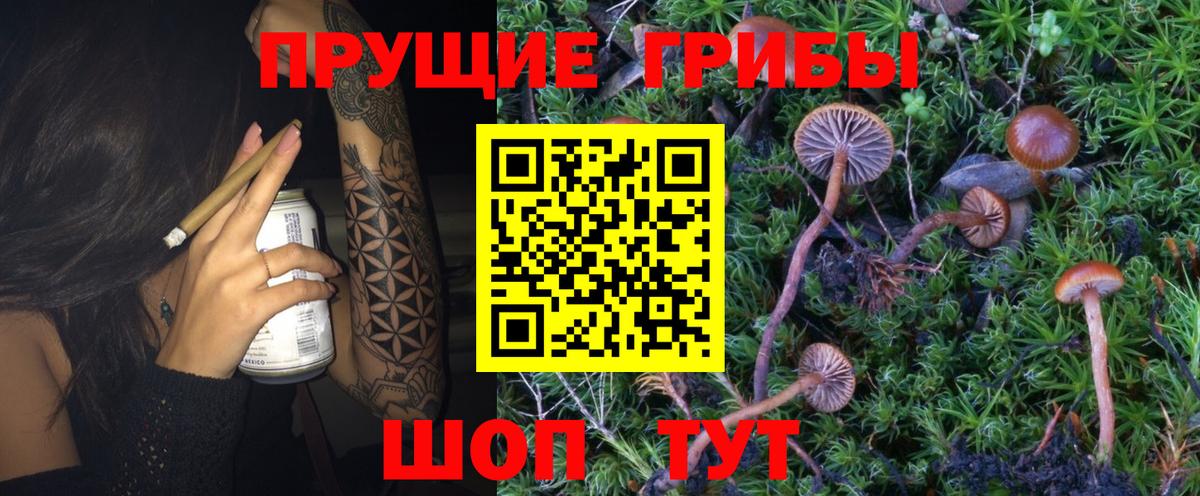 Псилоцибиновые грибы MAGIC MUSHROOMS  Вход с VPN  хочу   Коломна 
